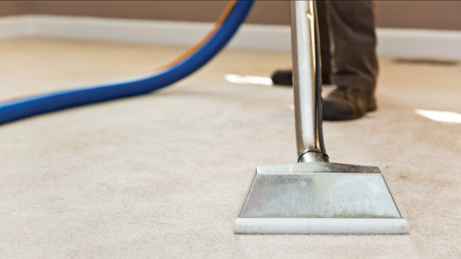 Carpet Express Cleaning Inc. | 87 S Remsen Ave, Wappingers Falls, NY 12590 | Phone: (888) 305-1030