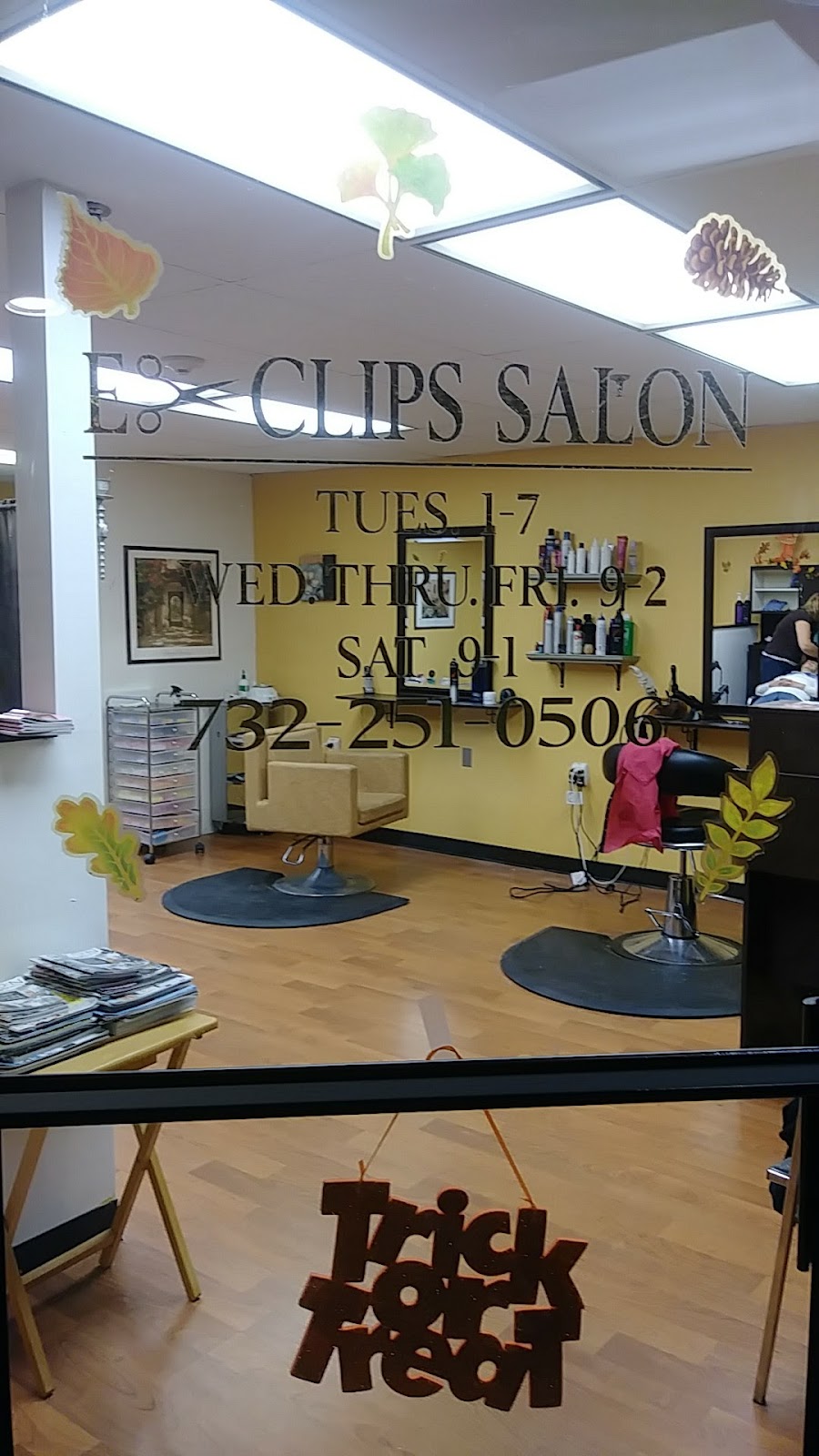 E-Clips Hair Salon | 250 Crescent Ave, Spotswood, NJ 08884 | Phone: (732) 251-0506