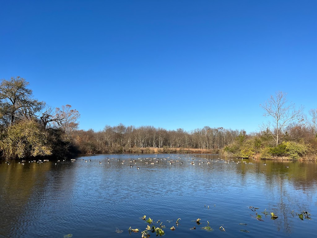 Environmental Education Center | 190 Lord Stirling Rd, Basking Ridge, NJ 07920 | Phone: (908) 722-1200 ext. 5002