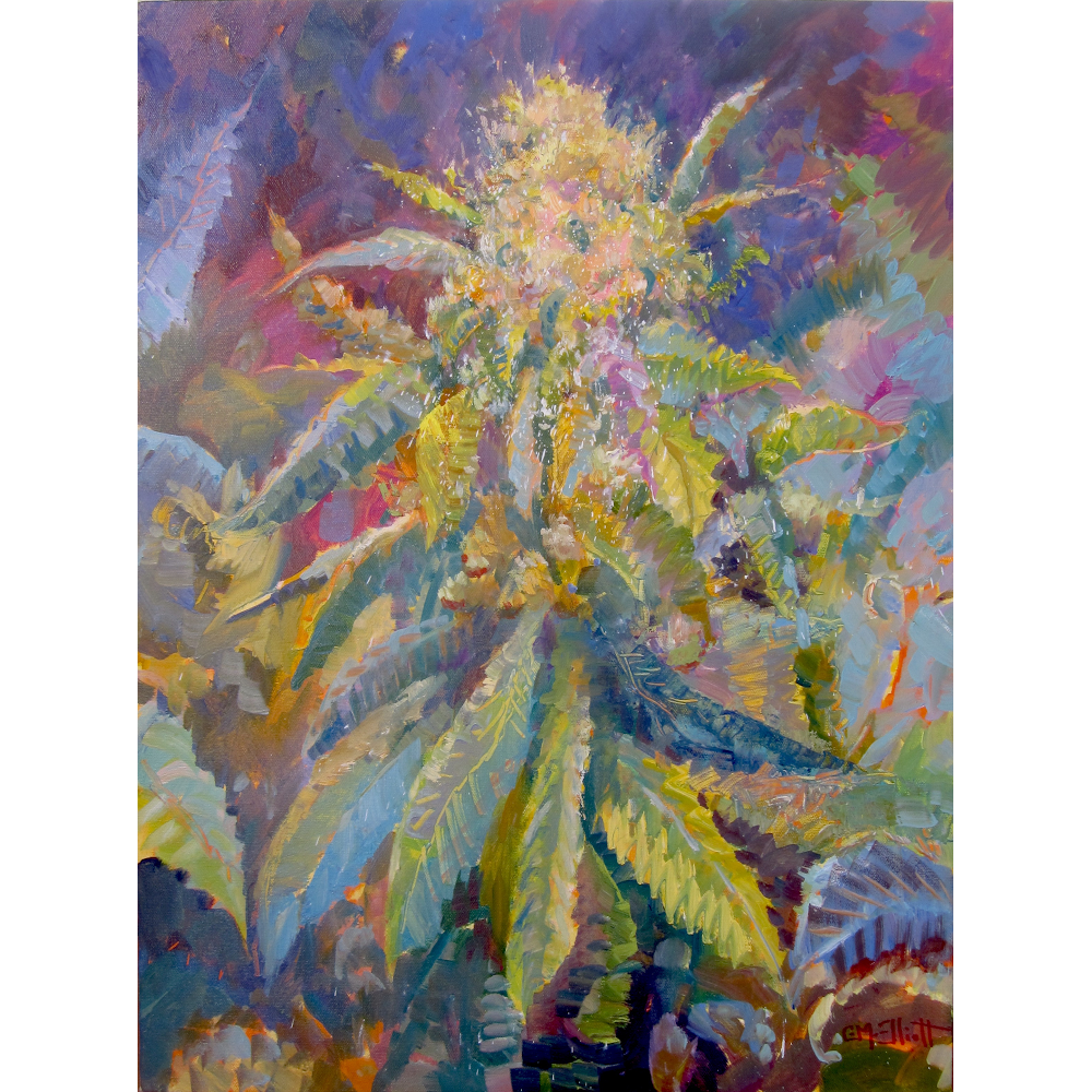 Art in Cannabis | 4 Brook Dr, Simsbury, CT 06070 | Phone: (860) 651-8836