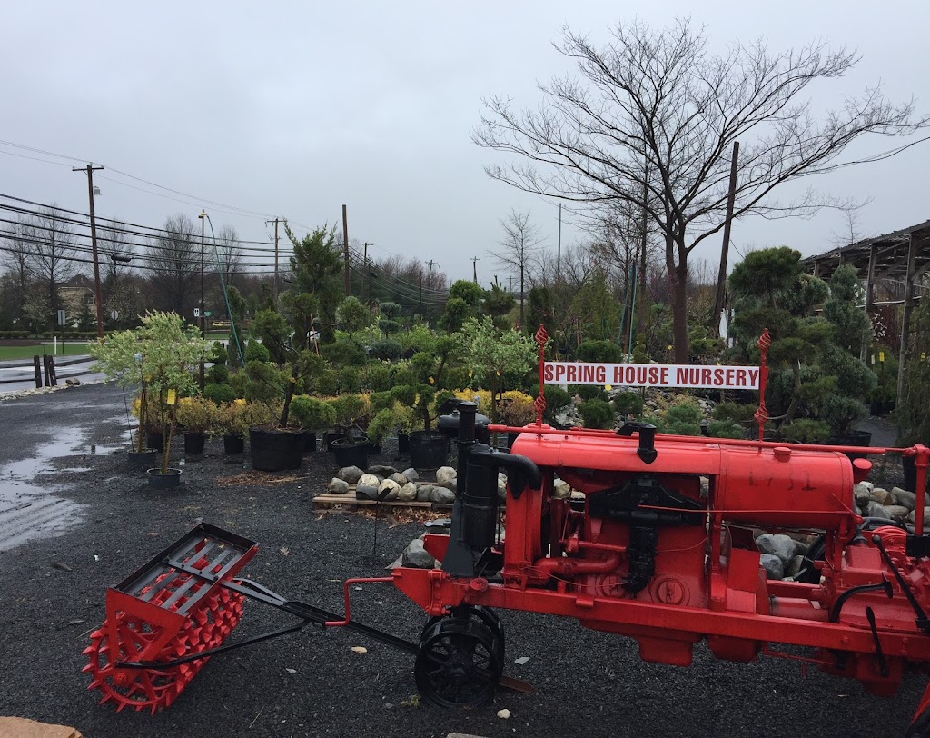 Spring House Nursery Inc | 1224 N Bethlehem Pike, Lower Gwynedd Township, PA 19002 | Phone: (215) 646-2495