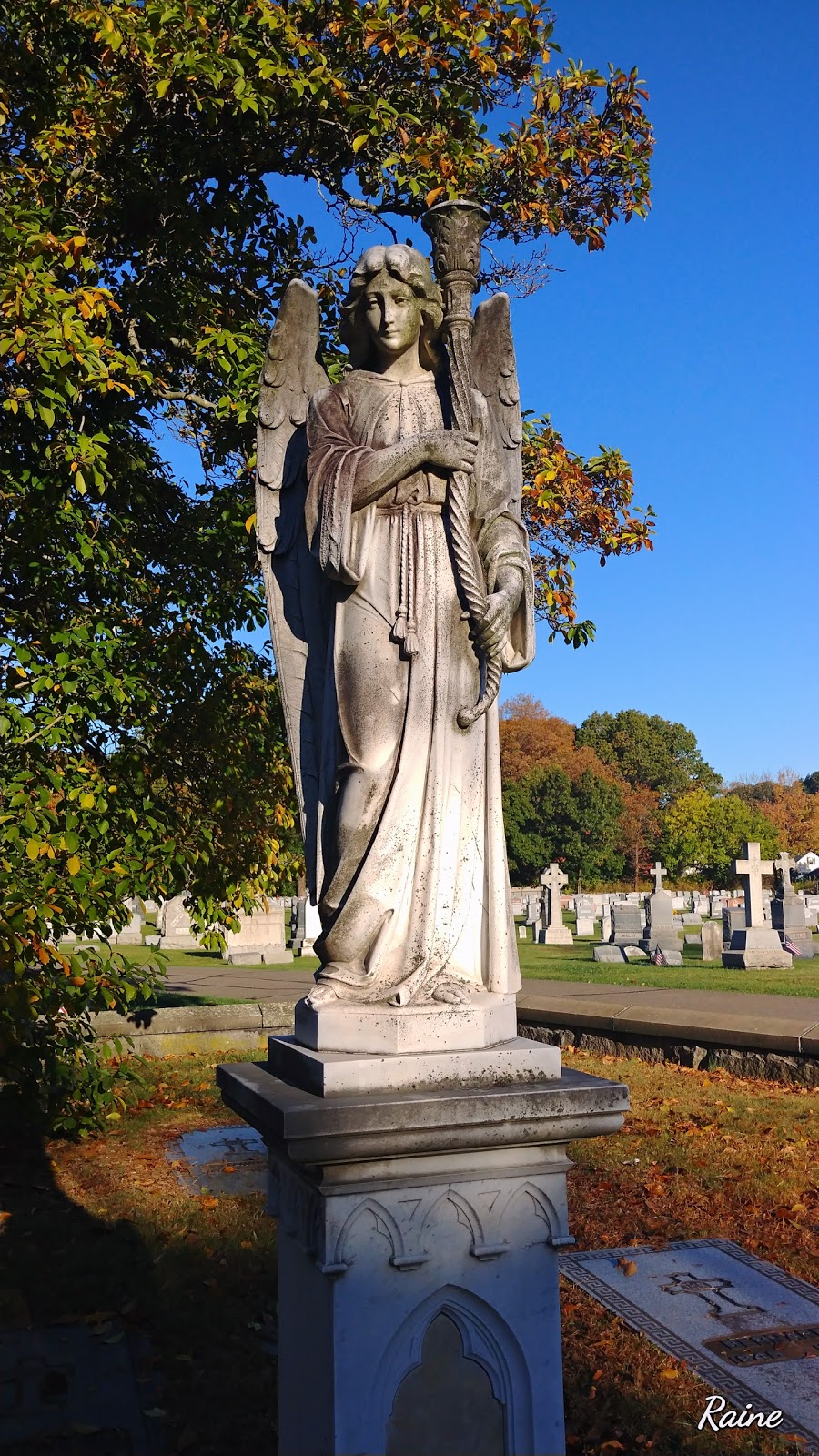 St Vincent Martyr Cemetery | Shunpike Rd, Madison, NJ 07940 | Phone: (973) 377-4000