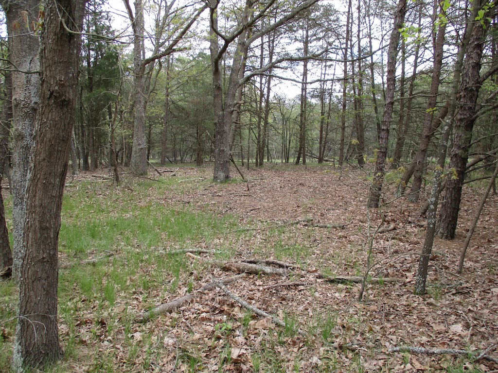 Natural Lands Peek Preserve | 1400 S 2nd St, Millville, NJ 08332 | Phone: (856) 825-9952