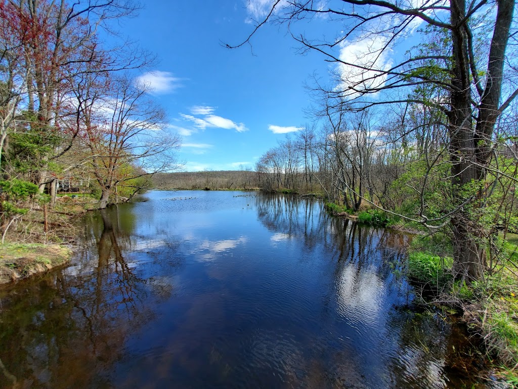 Black River Wildlife Management Area | Chester, NJ 07930 | Phone: (609) 984-0547