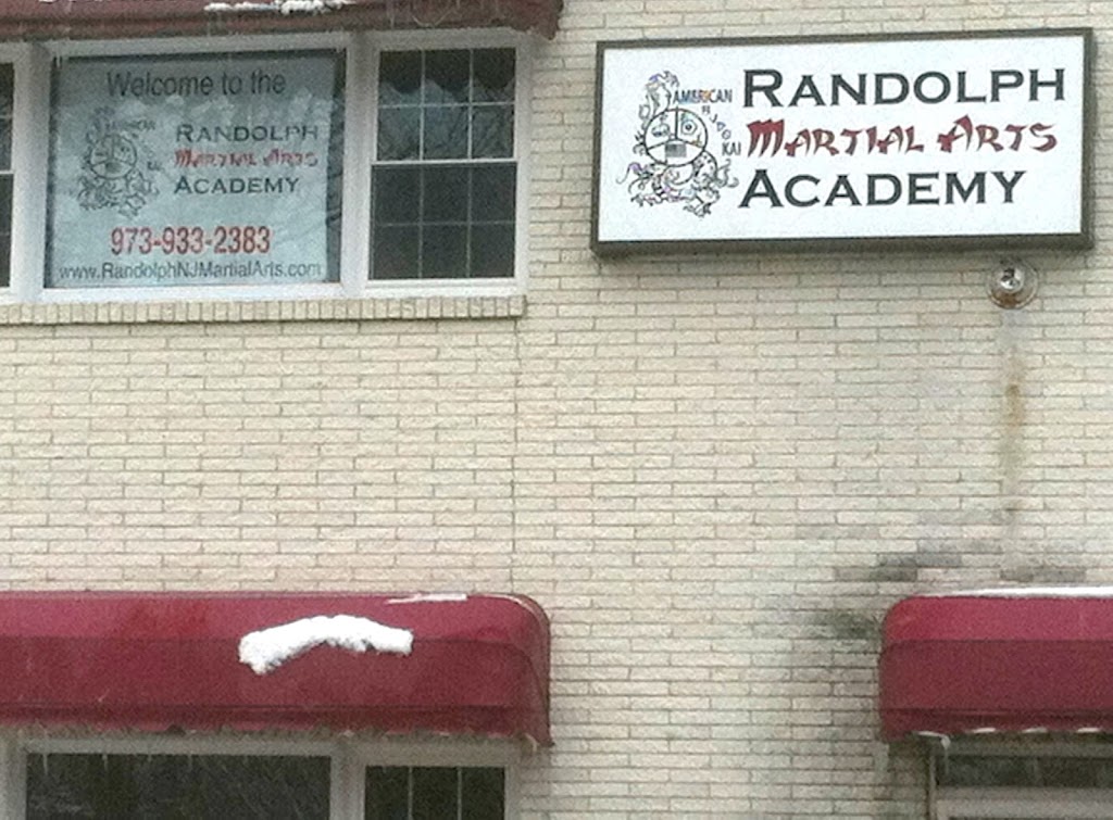 Randolph Martial Arts Academy | 16 Old Brookside Rd #5, Randolph, NJ 07869 | Phone: (973) 933-2383
