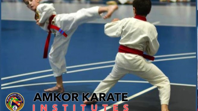 AmKor Karate Institutes, Bryn Mawr | 600 W Lancaster Ave, Bryn Mawr, PA 19010 | Phone: (610) 209-8179