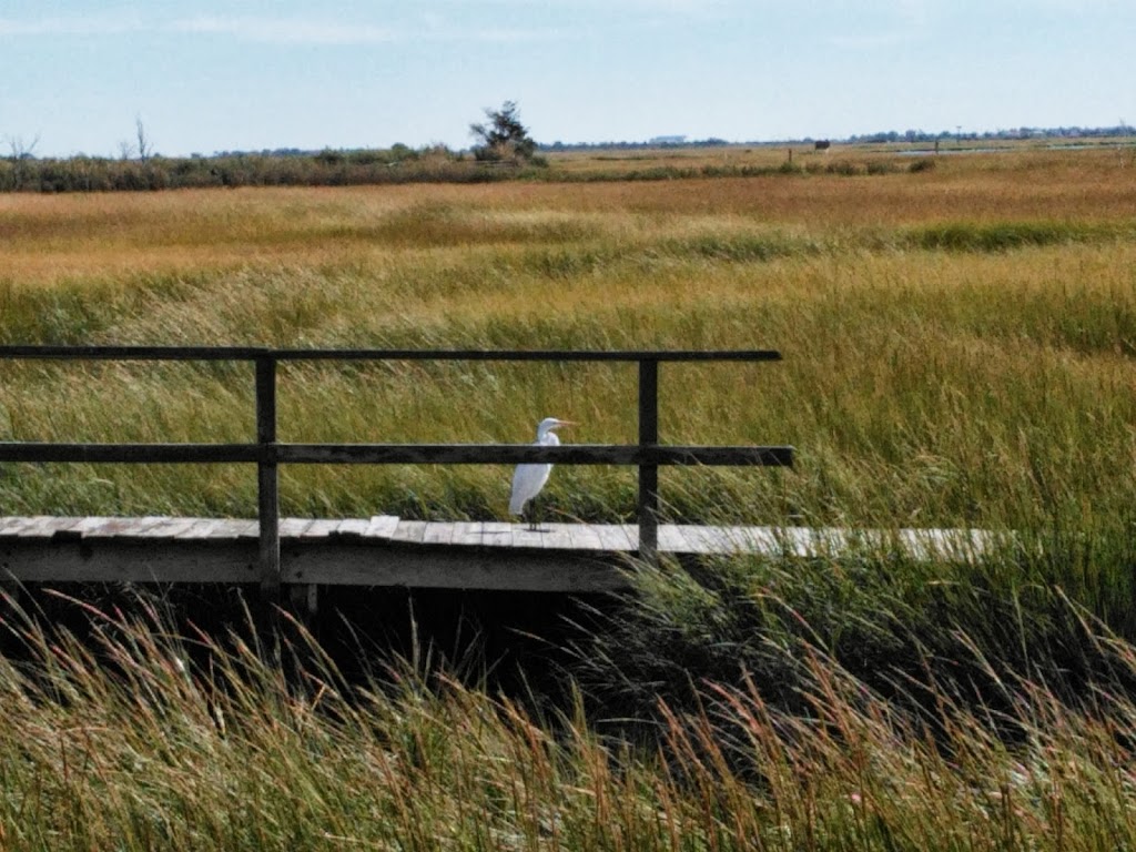 Marine Nature Study Area | 500 Slice Dr, Oceanside, NY 11572 | Phone: (516) 766-1580