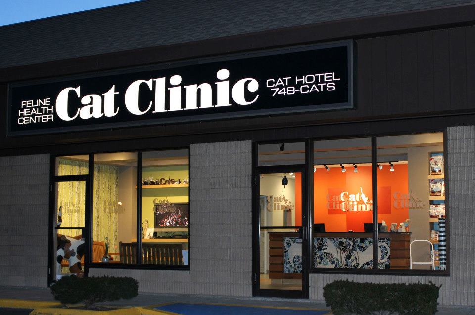 Cat Clinic | 30 Germantown Rd, Danbury, CT 06810 | Phone: (203) 748-2287