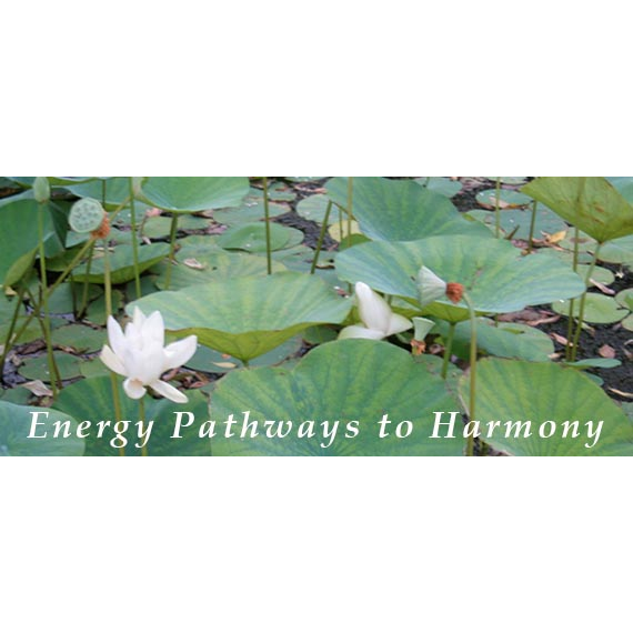 Energy Pathways to Harmony | 1861 Springfield Ave, Maplewood, NJ 07040 | Phone: (917) 353-7363