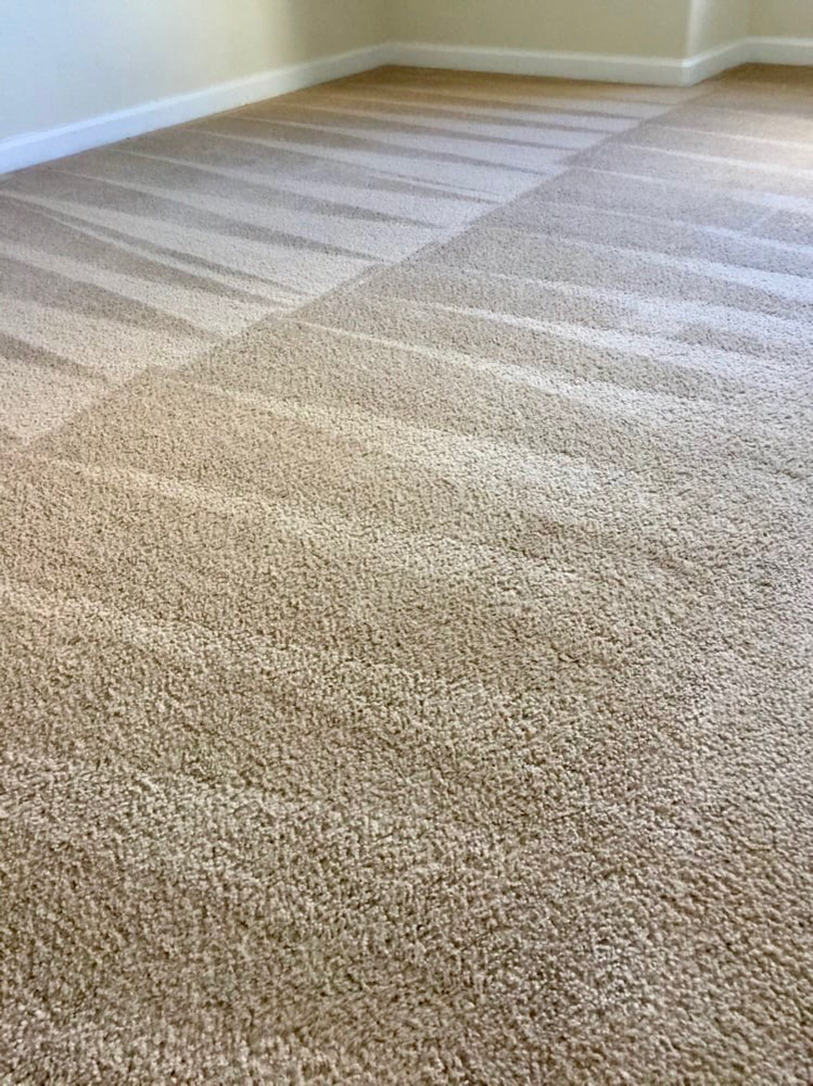 Master Green Carpet Cleaners | 620 Commerce Drive, Collegeville, PA 19426 | Phone: (484) 519-5158