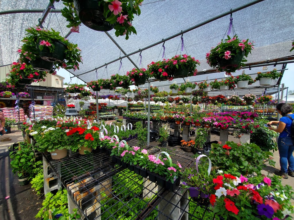 Amatos Garden Center Nursery | 47 Deans Rhode Hall Rd, Monmouth Junction, NJ 08852 | Phone: (732) 297-6790