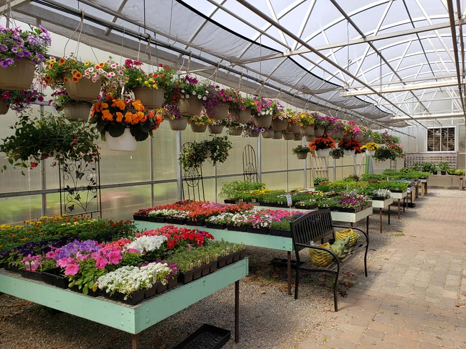 Town & Country Nurseries and Florist | 1036 Saybrook Rd, Haddam, CT 06438 | Phone: (860) 345-8581