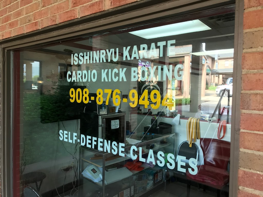 Quest Karate of Long Valley | 59 E Mill Rd, Long Valley, NJ 07853 | Phone: (908) 876-9494