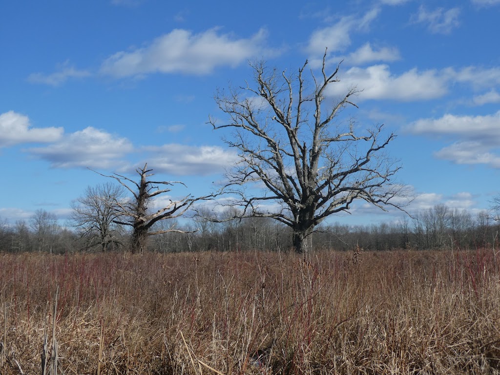 Great Swamp National Wildlife Refuge | 32 Pleasant Plains Rd, Basking Ridge, NJ 07920 | Phone: (973) 714-6891