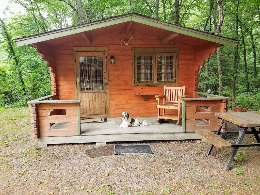 Pocono Vacation Park | 110 Arnie Way, Stroudsburg, PA 18360 | Phone: (570) 424-2587