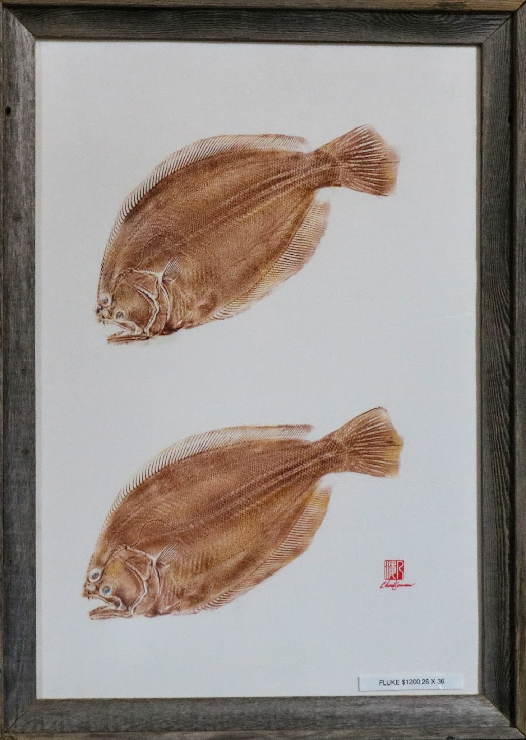 Chuck Seaman Fish Art | 27 Gardners Ln, Hampton Bays, NY 11946 | Phone: (631) 338-7977
