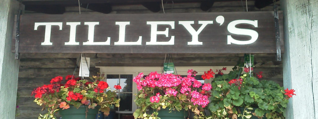 Tilleys Nursey | 111 E Fairmount St, Coopersburg, PA 18036 | Phone: (610) 282-4784