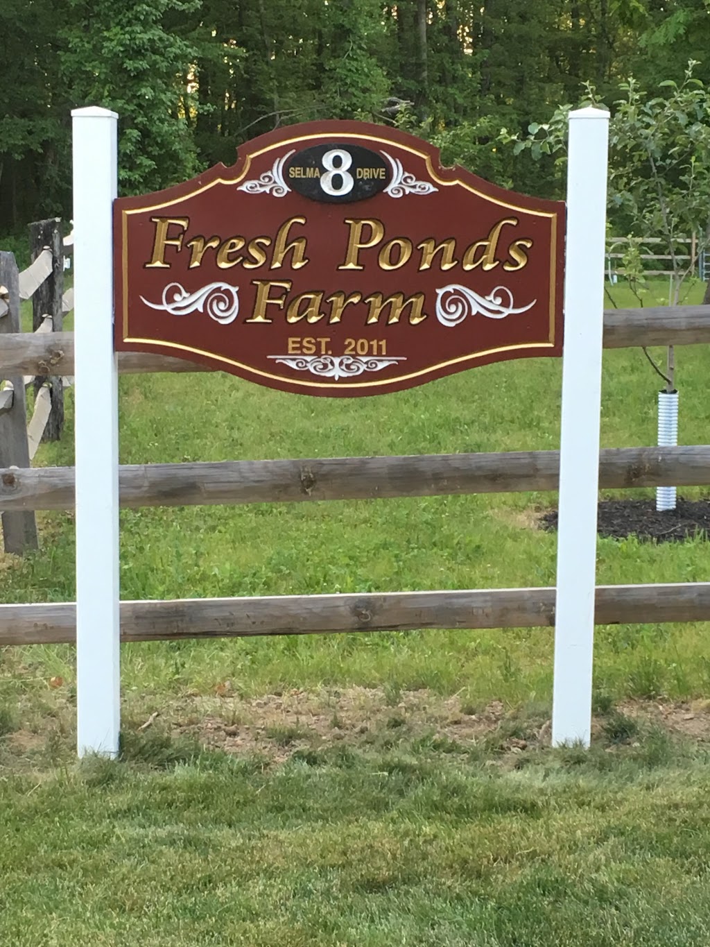 Fresh Ponds Farm | 8 Selma Dr, Monroe Township, NJ 08831 | Phone: (732) 274-1748