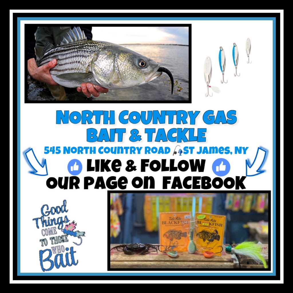 North Country Gas Bait and Tackle | 545 N Country Rd, St James, NY 11780 | Phone: (631) 484-0026