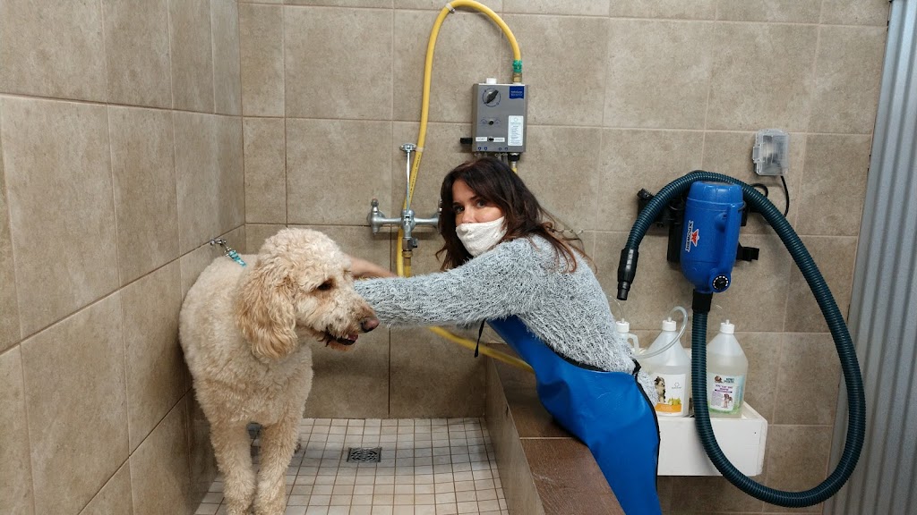 A Wash Your Paws -a Grooming Salon plus self- service dog wash | 744 Mantoloking Rd, Brick Township, NJ 08723 | Phone: (732) 920-9274