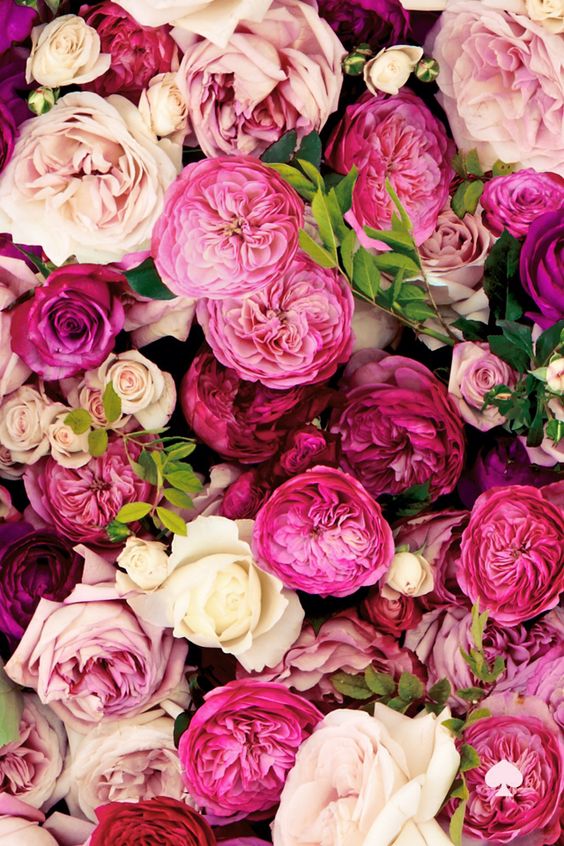 Rustic Rose Florist | 1621 Hamburg Turnpike, Wayne, NJ 07470 | Phone: (973) 987-8588