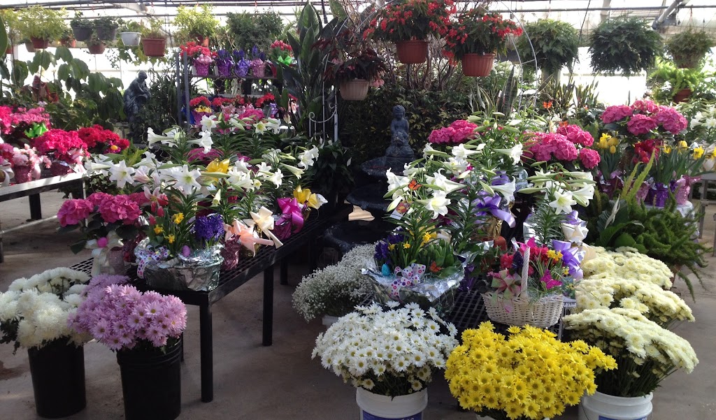Langankes Florist and Greenhouses | 1055 Bridgeport Ave, Shelton, CT 06484 | Phone: (203) 929-4688