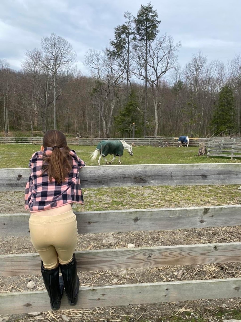 NK Equestrian, LLC | 1 Carlson Pl, Pompton Plains, NJ 07444 | Phone: (201) 753-0160