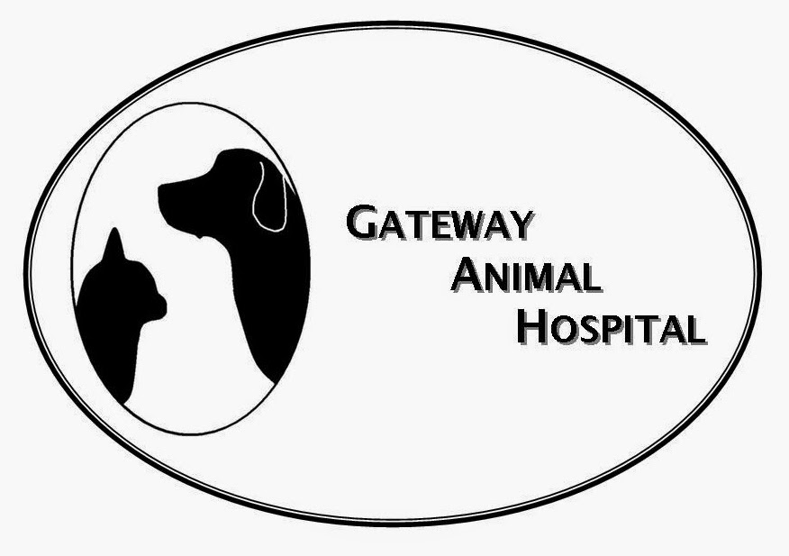 Gateway Animal Hospital | 700 Croton Rd, Wayne, PA 19087 | Phone: (610) 687-9600