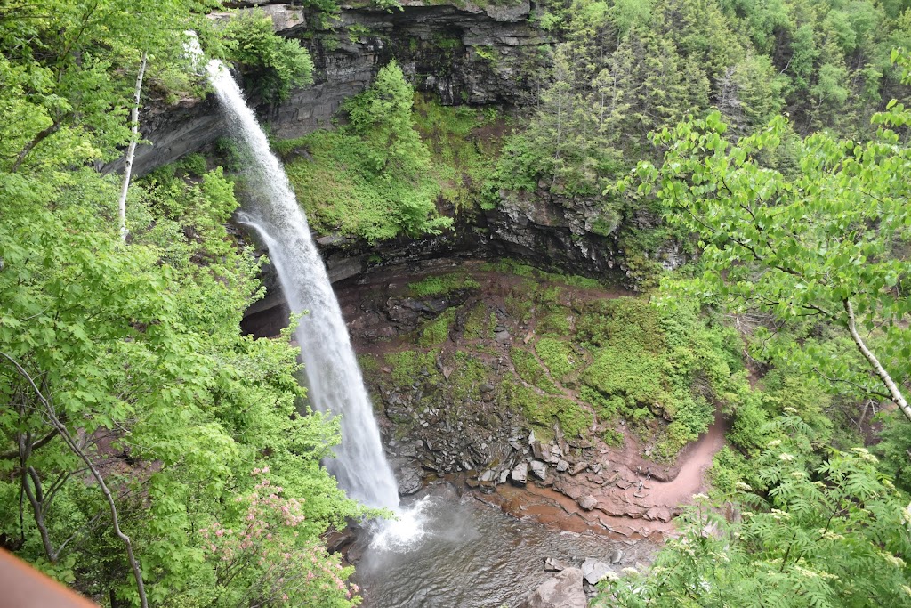 Kaaterskill Falls, Viewing Platform | Laurel House Rd, Palenville, NY 12463 | Phone: (518) 935-3735