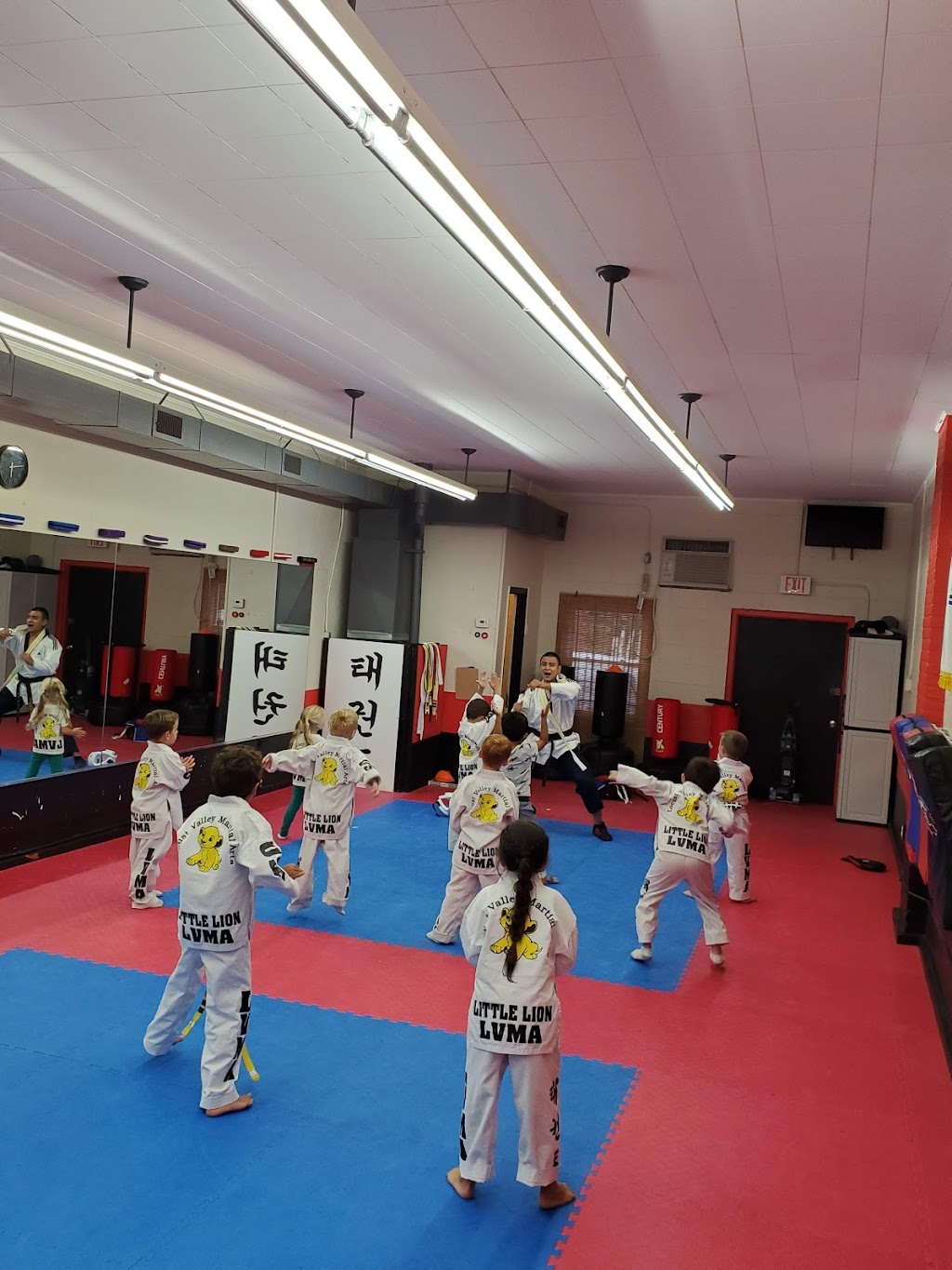 Locust Valley Martial Arts Long Island | 196 Forest Ave, Locust Valley, NY 11560 | Phone: (516) 671-1715