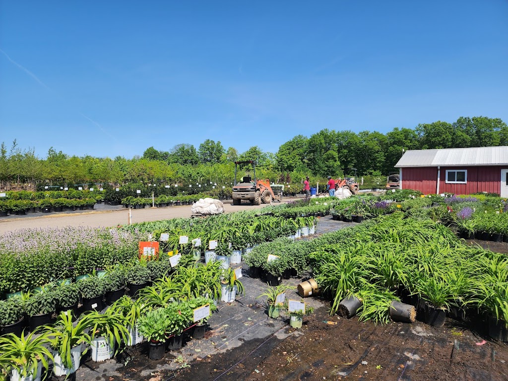 Northern Nurseries | 1320 Mountain Rd, West Suffield, CT 06093 | Phone: (860) 668-5225