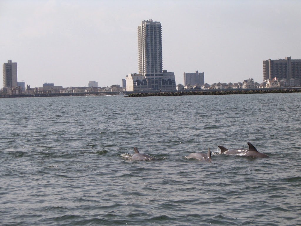 Summer Breeze Sailing Charters | 600 Huron Avenue Farley State Marina Golden Nugget Casino, Huron Ave, Atlantic City, NJ 08401 | Phone: (609) 652-8743