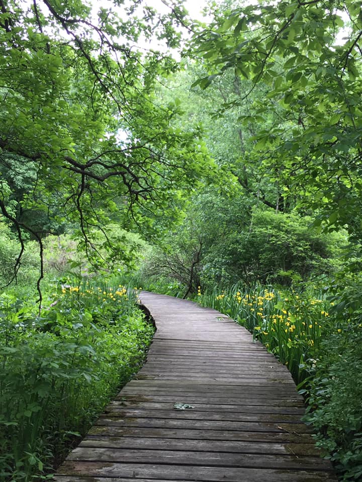 Environmental Education Center | 190 Lord Stirling Rd, Basking Ridge, NJ 07920 | Phone: (908) 722-1200 ext. 5002