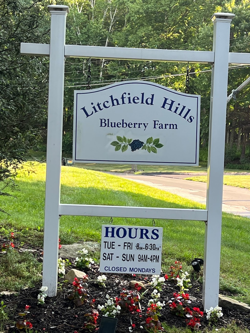 Litchfield Hills Blueberry Farm | 23 Schroback Rd, Plymouth, CT 06782 | Phone: (860) 283-9571