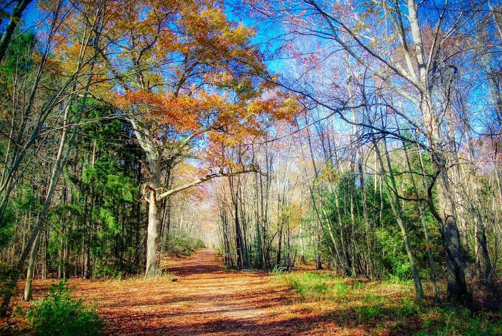 West Rock State Park - Lake Wintergreen Parking Area | 53-, 55 Main St, Hamden, CT 06514 | Phone: (203) 287-5658