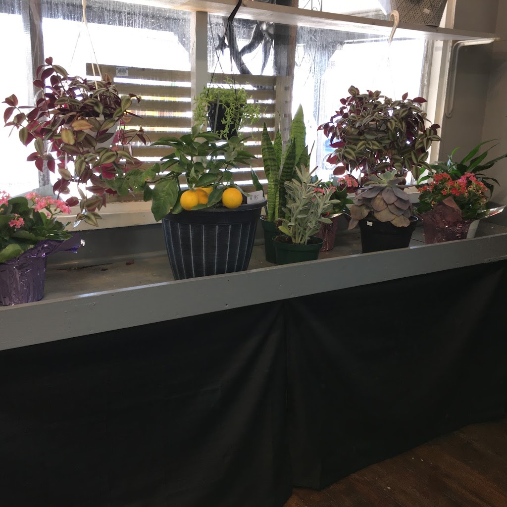 Oak Leaf Garden center and florist | 380 Springfield Ave, Westfield, NJ 07090 | Phone: (908) 264-7824