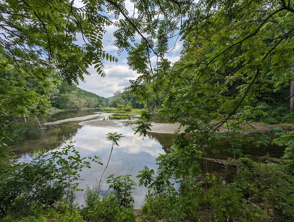 Musconetcong Gorge Loop Trailhead | Dennis Rd, Bloomsbury, NJ 08804 | Phone: (908) 782-1158