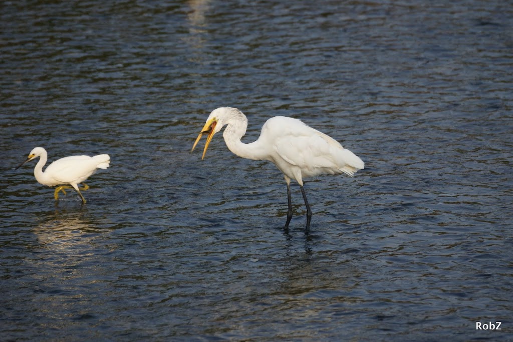 Leeds Pond Preserve | Port Washington, NY 11050 | Phone: (516) 627-9400