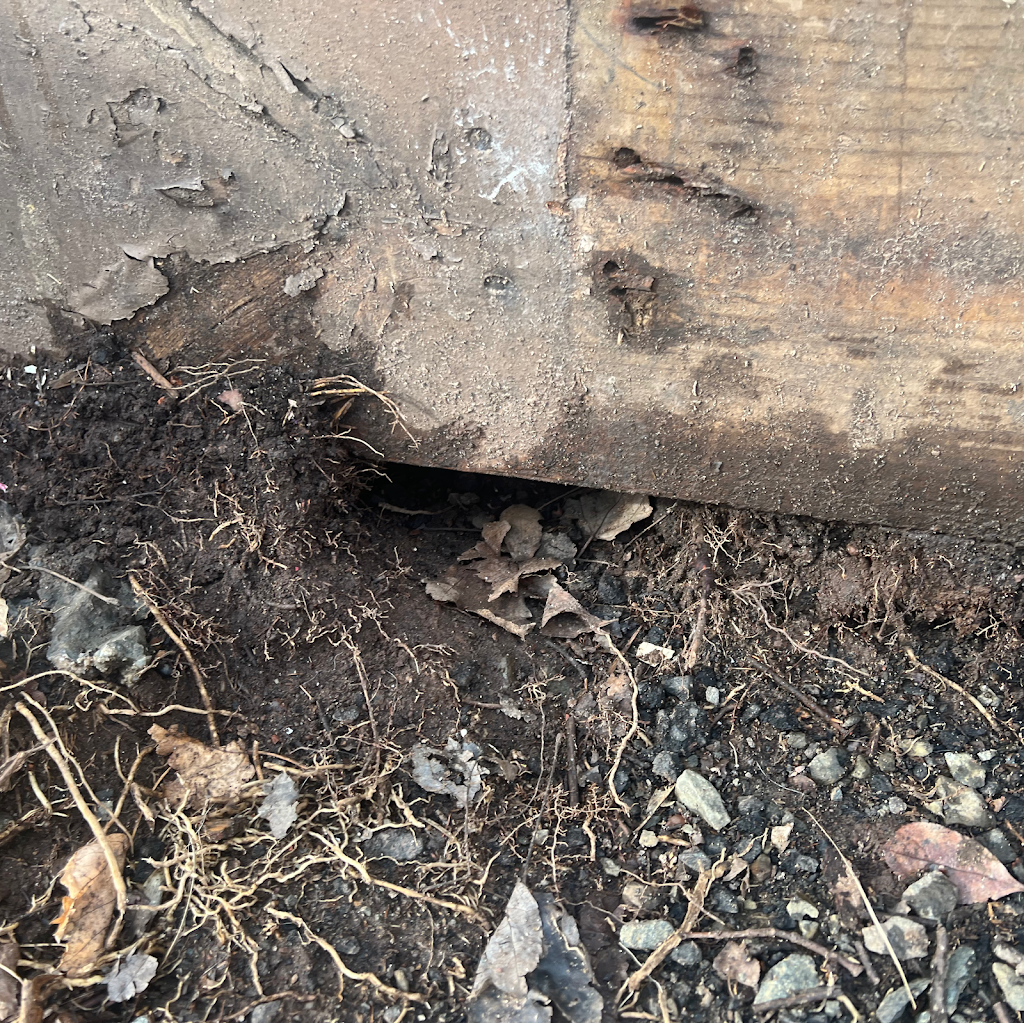 Connecticut Termite and Pest Control | 642 Johnson Ave, Meriden, CT 06451 | Phone: (203) 935-7357