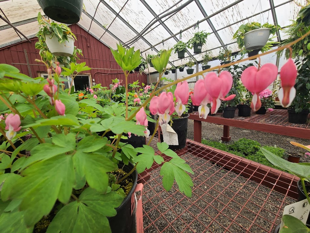 Berkshire Nursery And Supply | 2714 NY-22, Patterson, NY 12563 | Phone: (845) 878-9383