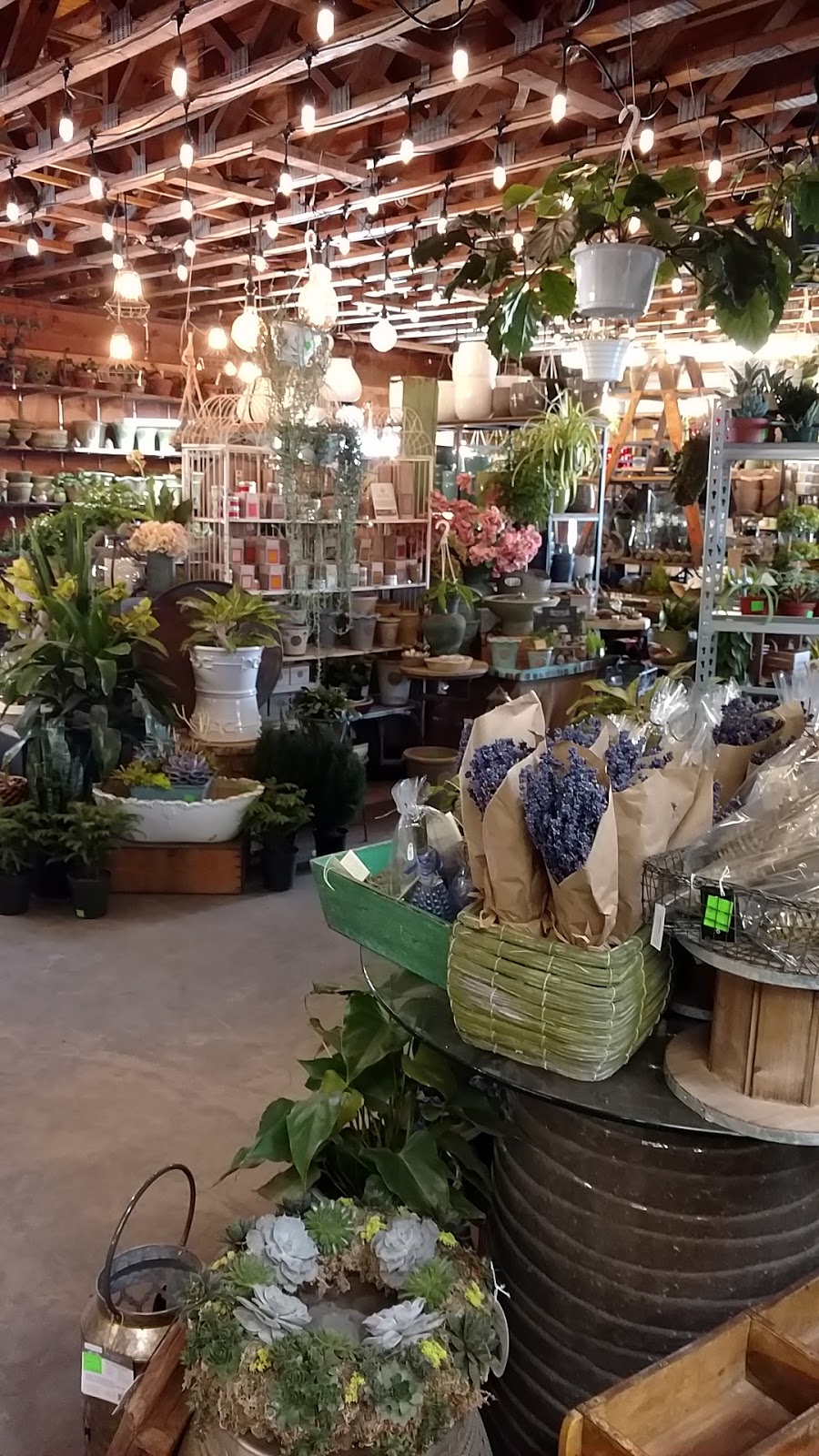 Copia Home and Garden | 475 Smith Ridge Rd, South Salem, NY 10590 | Phone: (914) 533-7242