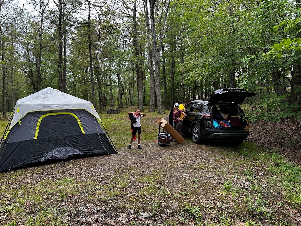 Lake Taghkanic State Park Campground | 1528 NY-82, Ancram, NY 12502 | Phone: (518) 851-3631