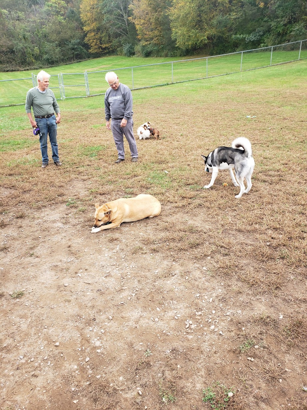 Blairstown Dog Park | 25 Lambert Rd, Blairstown, NJ 07825 | Phone: (908) 854-0090