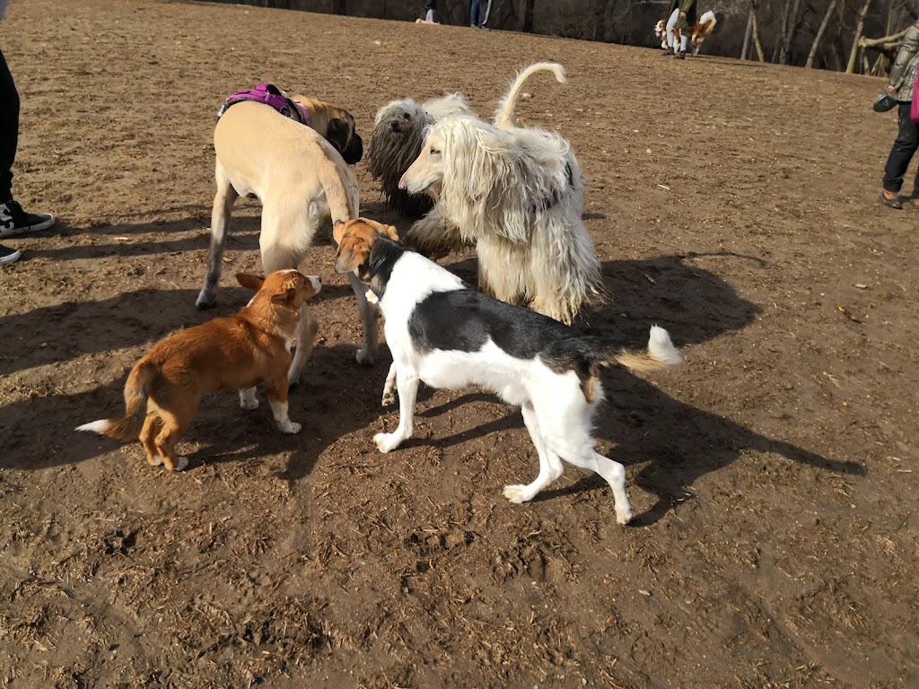 Paws Place Dog Park | 300 Broadfield Rd, New Rochelle, NY 10804 | Phone: (914) 654-2087
