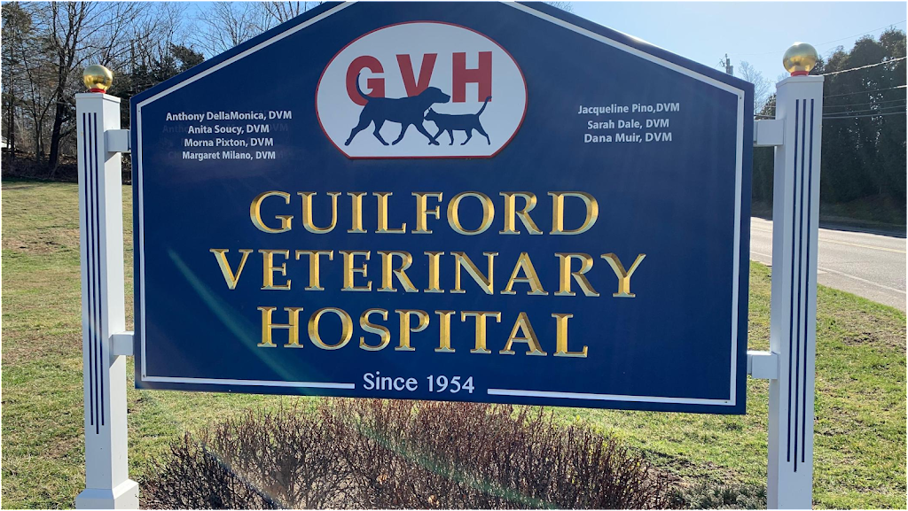 Guilford Veterinary Hospital | 81 Saw Mill Rd, Guilford, CT 06437 | Phone: (203) 453-2707