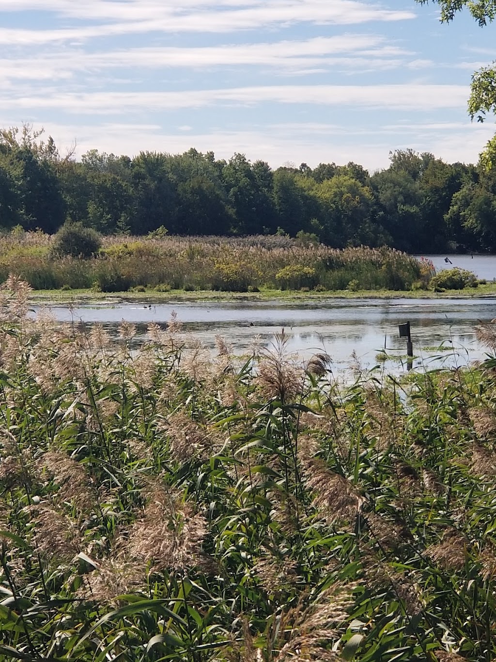 The Celery Farm | Franklin Turnpike, Allendale, NJ 07401 | Phone: (201) 818-4400