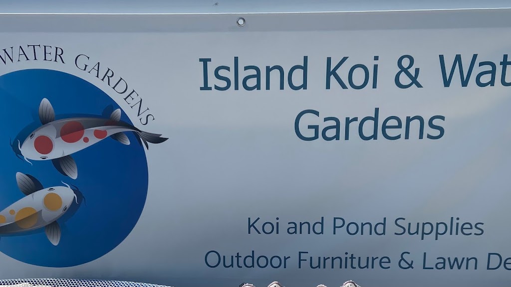 Island Koi and Water Gardens LLC | 109 10th Ave, Holtsville, NY 11742 | Phone: (631) 807-3124