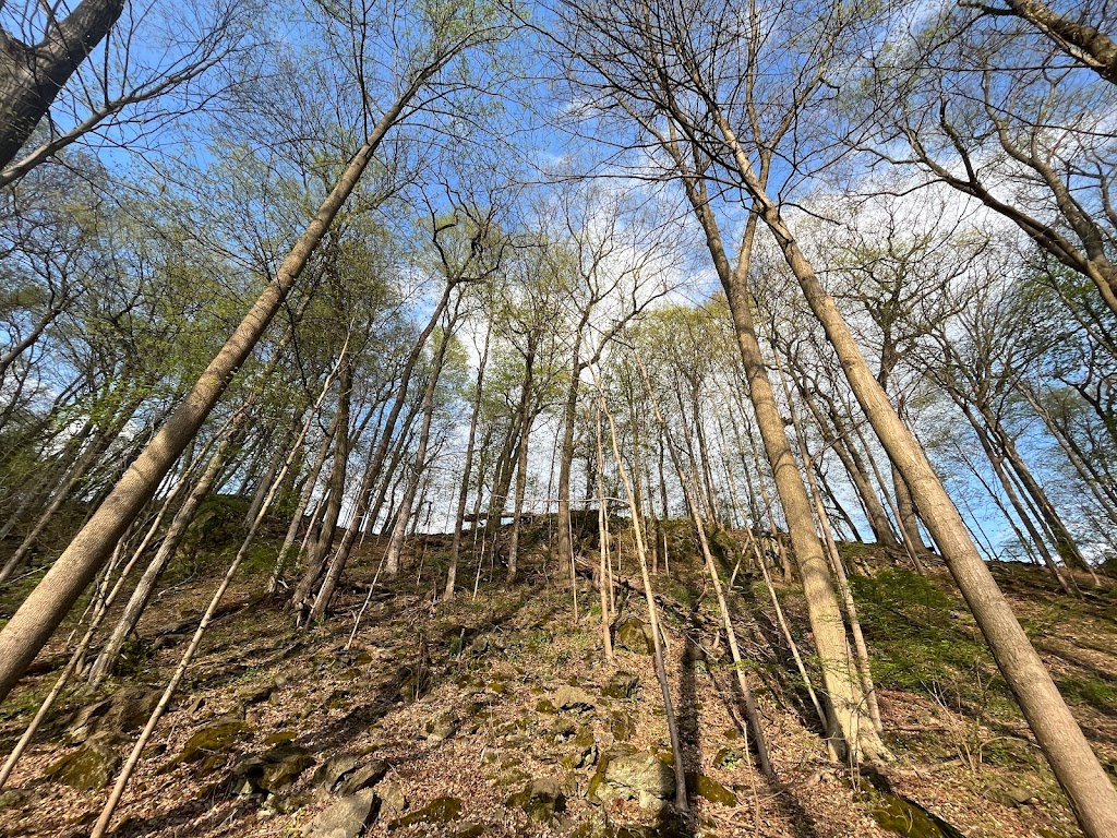 Little Lehigh Park Arboretum | 2901 Fish Hatchery Rd, Allentown, PA 18103 | Phone: (610) 437-7656