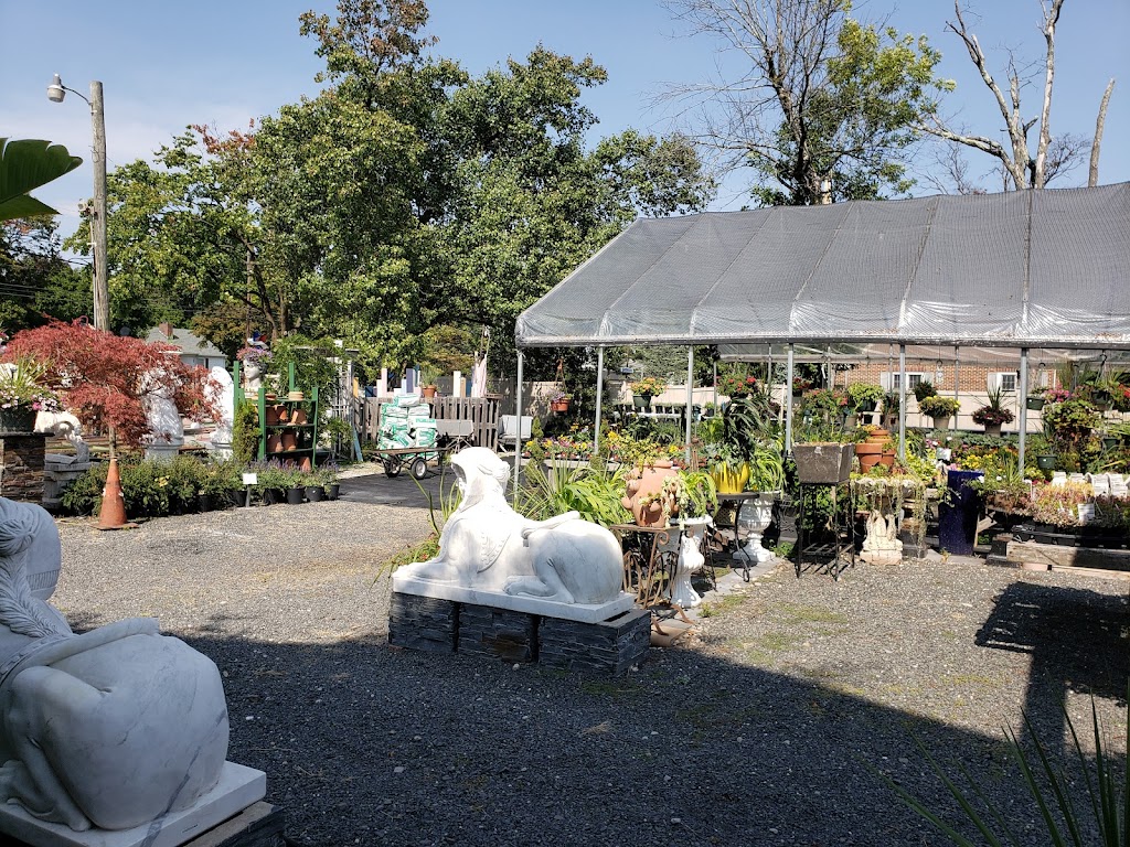 Daisy Garden Center & Sculpture | 183 US-206, Hillsborough Township, NJ 08844 | Phone: (908) 448-0001
