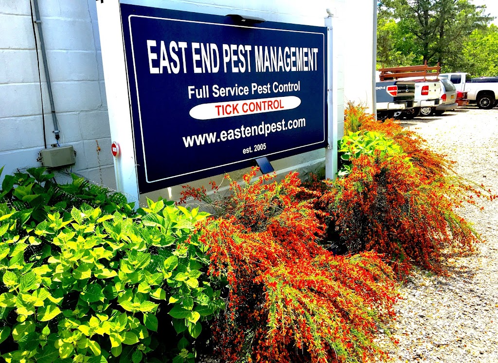 East End Pest Management Inc. | 7 Midhampton Ave Unit #5, Quogue, NY 11959 | Phone: (631) 259-9025